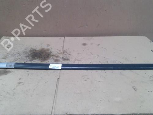 Dørliste RENAULT CLIO III (BR0/1, CR0/1) 1.2 16V Hi-Flex (BR1U, CR1U) (75 hp) 31379002