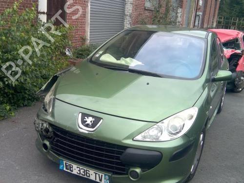 Right front door PEUGEOT 307 (3A/C) 1.6 HDi 110 | BP21999836C3 