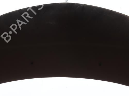 Used Hood RENAULT CLIO III (BR0/1, CR0/1) 1.5 dCi (C/BR0G, C/BR1G) (68 hp) 30473713