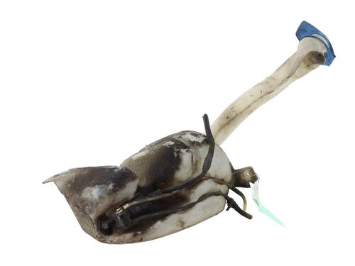 Windscreen washer tank CITROËN BERLINGO / BERLINGO FIRST MPV (MF_, GJK_, GFK_) 1.4 i (MFKFX, MFKFW, GJKFWB, GJKFWC, GFKFWC) | BP29041818C113 