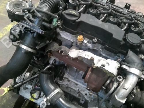 Engine FORD FOCUS C-MAX (DM2) 1.6 TDCi | BP21636022M1 