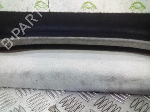 Rear parcel shelf RENAULT SCÉNIC III (JZ0/1_) 1.5 dCi | BP20357942C85 