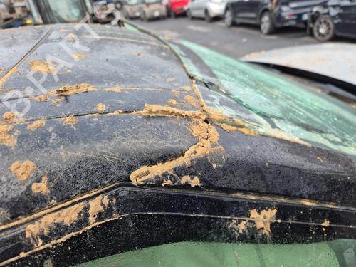 Rear right panel LAND ROVER RANGE ROVER EVOQUE (L538) 2.2 D 4x4 | BP32767076C61 - Image 6