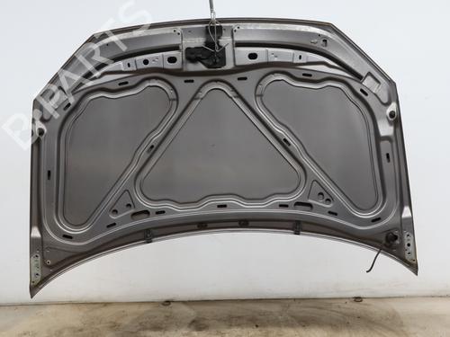 Hood VW POLO IV (9N_, 9A_) 1.2 | BP28420391C1 