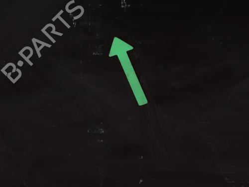 Used Right front door Right front door RENAULT SCÉNIC III (JZ0/1_) 1.9 dCi (JZ0J, JZ1J, JZ1K, JZ1S) (131 hp) 24862847 24862847