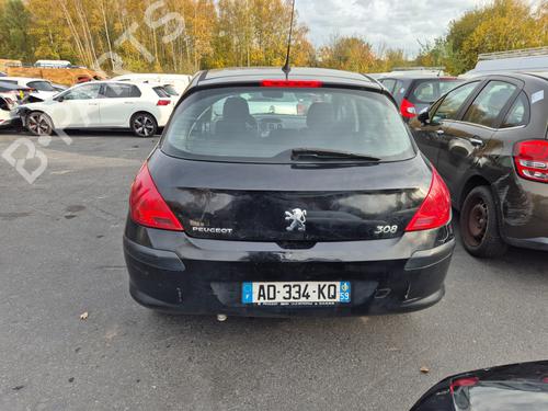 Hinge/Door check strap PEUGEOT 308 I (4A_, 4C_) 1.6 HDi | BP30715656C146