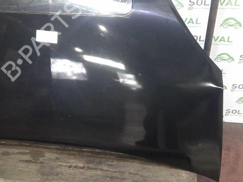 Capot Capot LANCIA MUSA (350_) 1.9 D Multijet (350.AXC1A) (101 hp) 22004724 22004724