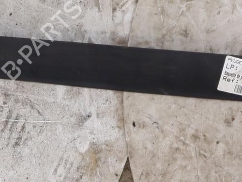 Used Door moulding trim Door moulding trim PEUGEOT 307 (3A/C) 1.6 HDi (90 hp) 26034839 26034839