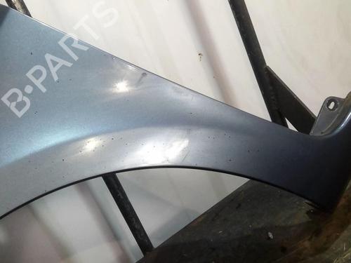 Left front fenders RENAULT CLIO III (BR0/1, CR0/1) 1.5 dCi (BR17, CR17) | BP20360599C41 