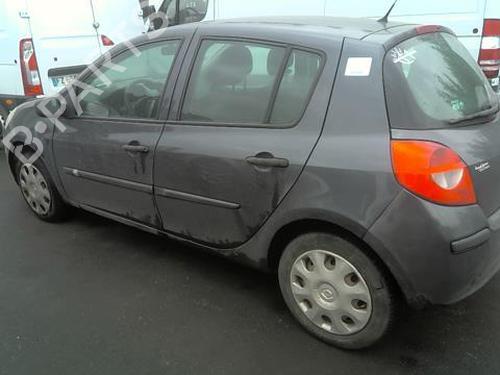 Left rear door RENAULT CLIO III (BR0/1, CR0/1) 1.5 dCi (C/BR0G, C/BR1G) | BP20365997C4 