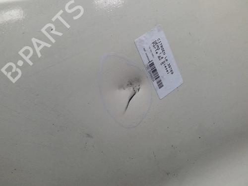 Used Left front door CITROËN NEMO MPV 1.4 HDi (68 hp) 20370338