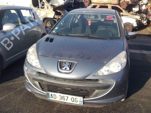 Left front door PEUGEOT 206+ (2L_, 2M_) 1.4 i (2LKFWA, 2MKFWA) | BP21116989C2 
