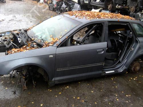 Dør rude højre bagtil AUDI A3 Sportback (8PA) 2.0 TDI | BP30579449C21