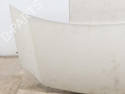hood-renault-kangoo-express-fw01_-2008-37743504 main image