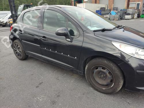 Door moulding trim PEUGEOT 207 (WA_, WC_) 1.4 HDi | BP29758673C150