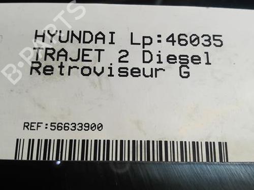 Left mirror HYUNDAI TRAJET (FO) 2.0 CRDi | BP22004294C26 