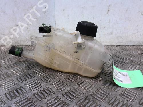 Expansion tank RENAULT MEGANE III Coupe (DZ0/1_) 1.5 dCi (DZ09, DZ0D, DZ1F, DZ1G, DZ14, DZ29) | BP20354370C120 