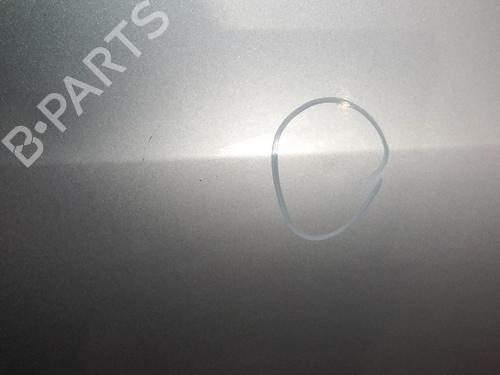 Right front door VW GOLF PLUS V (5M1, 521) 1.9 TDI | BP20356233C3 