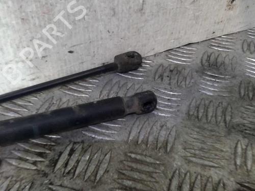 Tailgate lift support RENAULT SCÉNIC II (JM0/1_) 2.0 dCi (JM1K) | BP20363614C138 