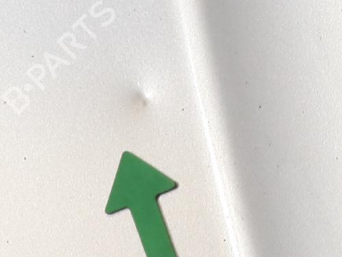 Hood PEUGEOT 207 CC (WD_) 1.6 HDi | BP24918157C1 