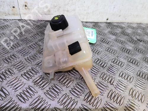Used Expansion tank RENAULT MEGANE IV Hatchback (B9A/M/N_) 1.6 TCe 205 (B9MV) (205 hp) 20358203