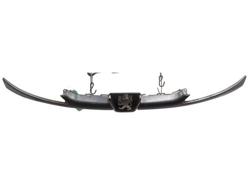 Used Grille PEUGEOT 206 Hatchback (2A/C) 1.4 HDi eco 70 (68 hp) 28966033