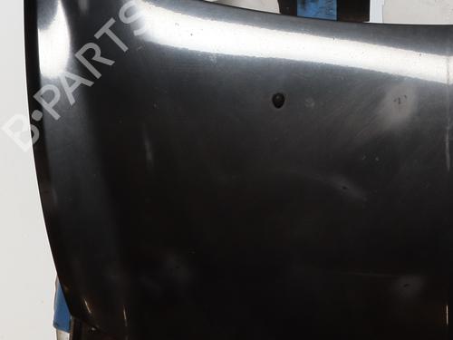 Hood RENAULT CLIO III (BR0/1, CR0/1) 1.2 16V (BR02, BR0J, BR11, CR02, CR0J, CR11) | BP27266598C1 
