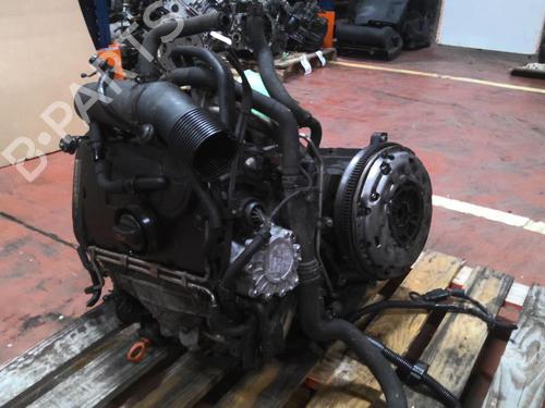 Used Engine AUDI A3 (8P1) 2.0 TDI 16V (140 hp) 31927414