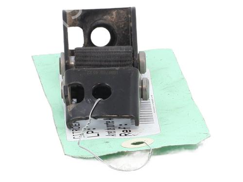 Hinge/Door check strap CITROËN AMI (9A_) Electric (9AZ2CA) | BP29210014C146 