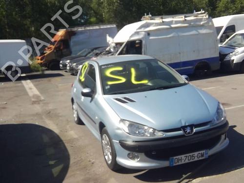 Left mirror PEUGEOT 206 Hatchback (2A/C) 1.4 HDi eco 70 | BP20364257C26 