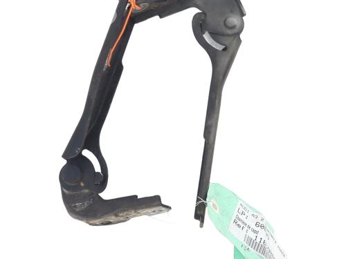 Hinge/Door check strap AUDI A3 Sportback (8PA) 2.0 TDI quattro | BP31723735C146 