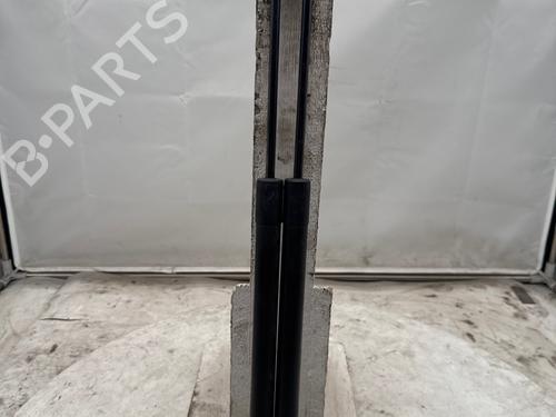 Gasdæmper bagklap Gasdæmper bagklap RENAULT SCÉNIC III (JZ0/1_) 1.5 dCi (86 hp) 37189239 37189239