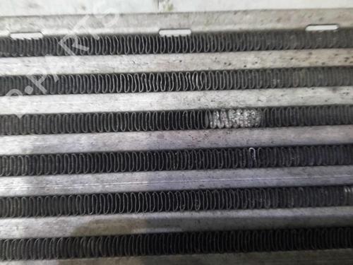 Used Intercooler Intercooler FIAT 500 (312_) 1.3 D Multijet (312AXB1A) (75 hp) 20361616 20361616