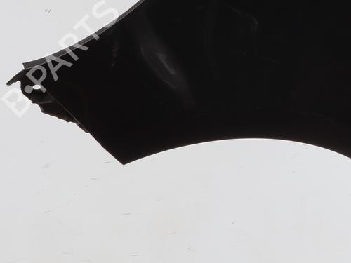 Left front fenders RENAULT CLIO III (BR0/1, CR0/1) 1.5 dCi (C/BR0G, C/BR1G) | BP29560316C41 