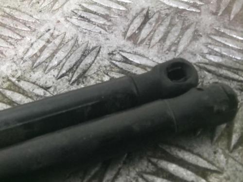 Used Tailgate lift support TOYOTA COROLLA Verso (ZER_, ZZE12_, R1_) 2.0 D-4D (CUR10_, CUR10R) (116 hp) 21555506