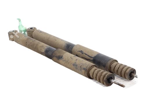 Right rear shock absorber RENAULT CLIO III (BR0/1, CR0/1) 1.5 dCi (BR17, CR17) | BP31961424M19