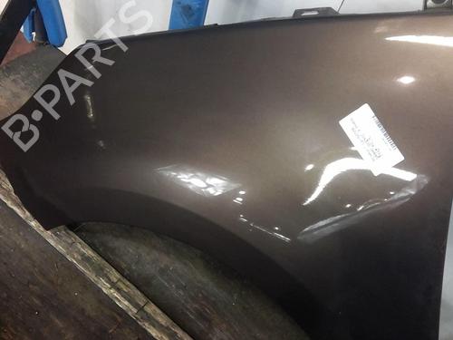 Left front fenders RENAULT GRAND SCÉNIC III (JZ0/1_) 1.9 dCi (JZ0J, JZ0N, JZ1K, JZ1S) | BP20366280C41 