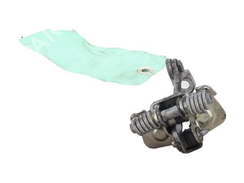 hingedoor-check-strap-dacia-sandero-2008-25407728 main image