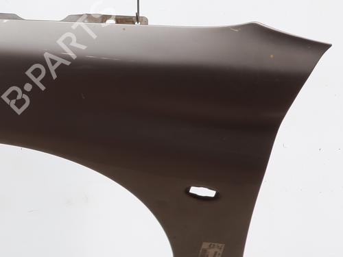 Left front fenders PEUGEOT 206 Hatchback (2A/C) 1.4 HDi eco 70 | BP28103550C41 