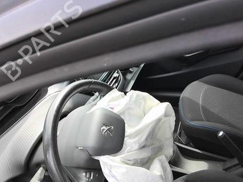 Rear left panel PEUGEOT 208 I (CA_, CC_) 1.2 PureTech 82 | BP36955716C60 - Image 29