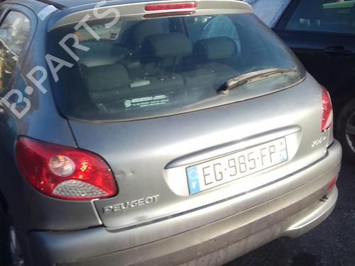 Right front door PEUGEOT 206+ (2L_, 2M_) 1.1 | BP22002772C3
