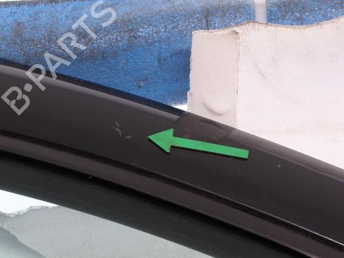 Right front door RENAULT CLIO III (BR0/1, CR0/1) 1.2 16V (BR02, BR0J, BR11, CR02, CR0J, CR11) | BP27266601C3 