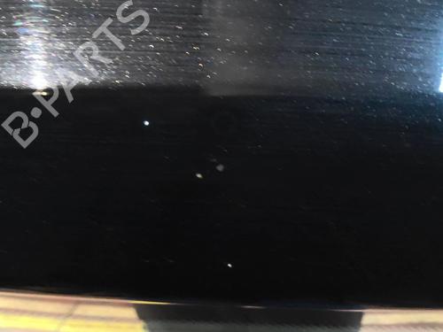 Tailgate MERCEDES-BENZ A-CLASS (W169) A 180 CDI (169.007, 169.307) | BP22005250C6 