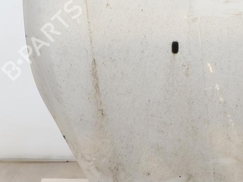 Capot Capot FORD FIESTA VI (CB1, CCN) 1.25 (60 hp) 33708884 33708884