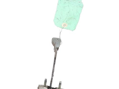 hingedoor-check-strap-dacia-sandero-ii-2012-31115172 main image