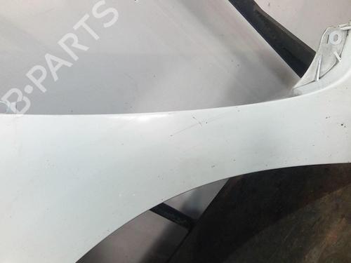 Left front fenders RENAULT KANGOO Express (FW0/1_) 1.5 dCi 85 (FW0K, FW0L, FW0B) | BP20360199C41 