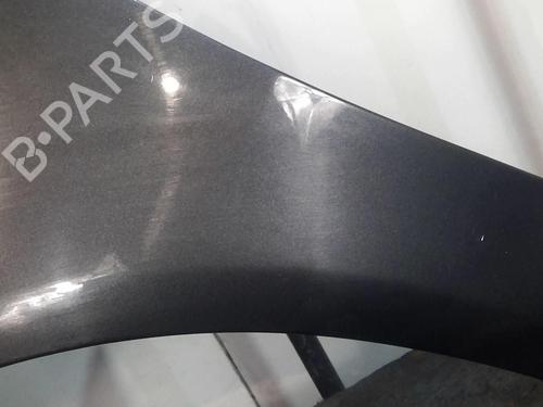 Left front fenders OPEL CORSA D (S07) 1.3 CDTI (L08, L68) | BP20356169C41 