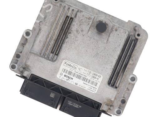 Used Engine control unit (ECU) FORD FIESTA VI (CB1, CCN) 1.5 TDCi (75 hp) 31301946