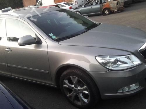 Left front door SKODA OCTAVIA II Combi (1Z5) 1.6 TDI | BP21534951C2 