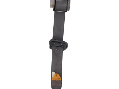 Used Rear left belt tensioner CHEVROLET AVEO / KALOS Hatchback (T250, T255) 1.2 (72 hp) 29493112